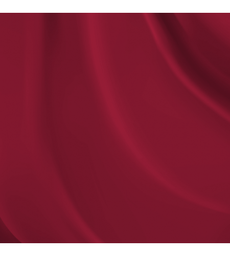 Criminal Lipstick No 02